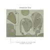 Affreschi & Affreschi | Inner Line VIII